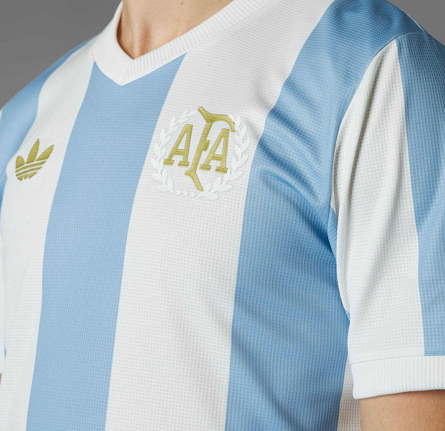 Adidas Men's Argentina 50th Anniversary Jersey