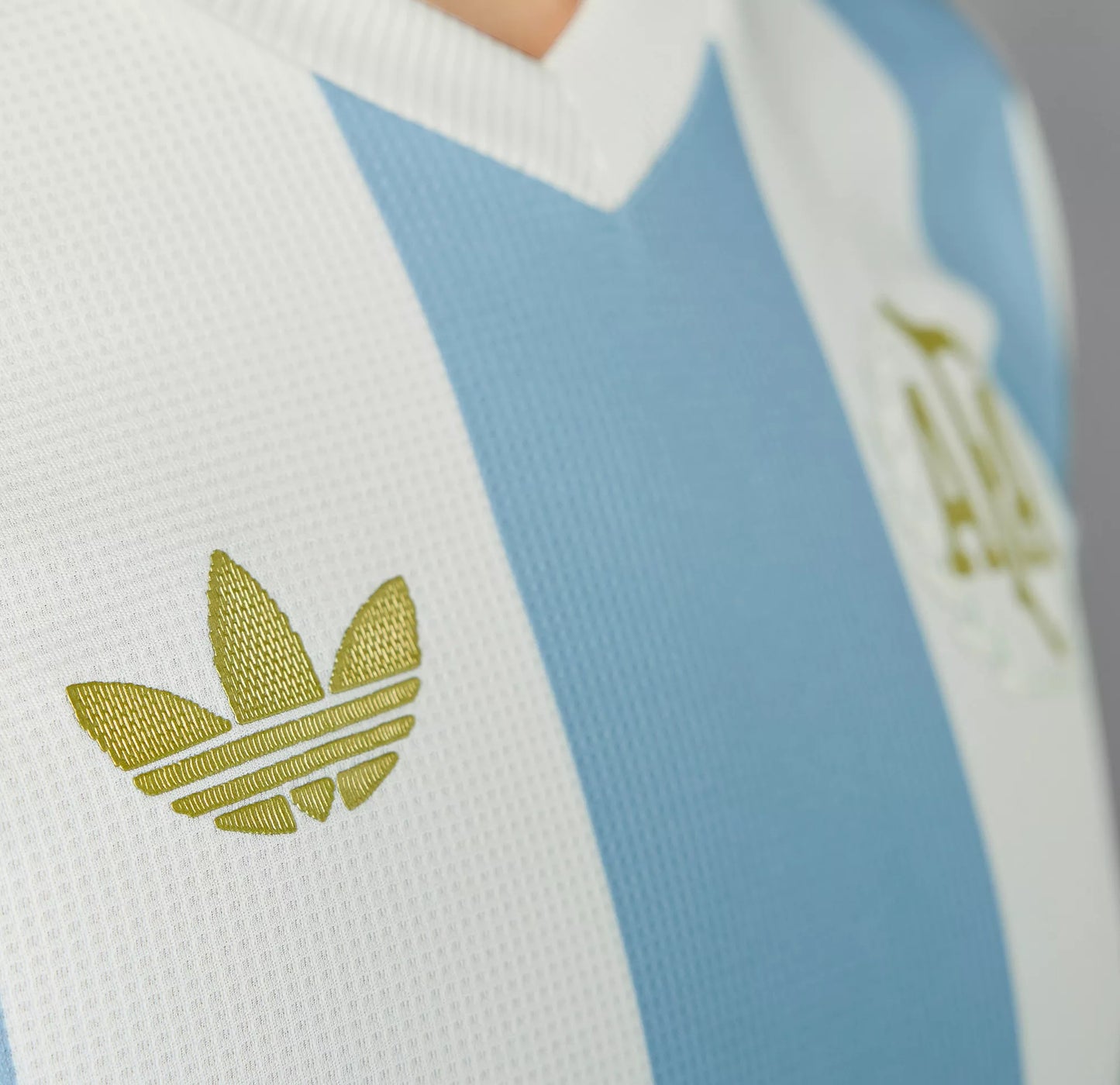 Adidas Men's Argentina 50th Anniversary Jersey