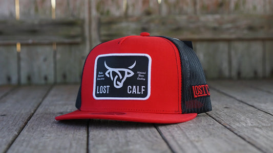 Lost Calf Cap- Watusi Plate Flat